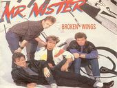 Mr. Mister Broken Wings