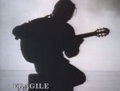 Sting Fragile