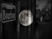 Sting Moon Over Bourbon Street